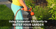 Using Rainwater Efficiently to Water Your Garden